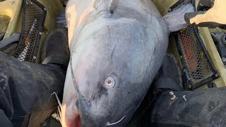 I'm Gonna Need A Bigger Boat!