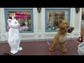 Funny Aristocats Marie Cheered Toulouse at Disneyland Tokyo