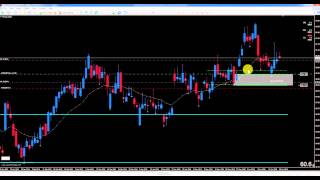 BROKER FOREX 986 #20