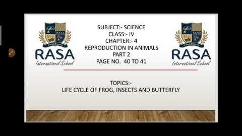Science | Reproduction in Animals part 2 | class 4 | Chapter 4 | page 40 to 41