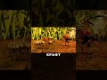 Grounded 2 — продолжение культовой игры