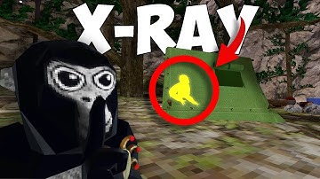 I Used X-RAY to Cheat in Hide and Seek!