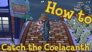 How To Catch The Coelacanth Remastered Acnl