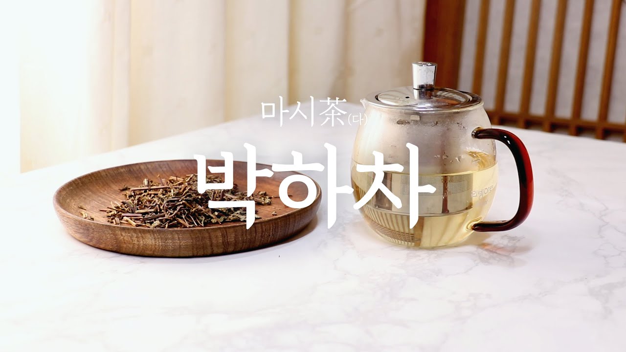박하차 만들기 / 박하차의 효능! 박하차의 블렌딩과 박하 에이드 만드는 방법 공개! - YouTube