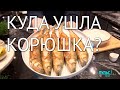 Корюшка пришла… и сразу ушла?