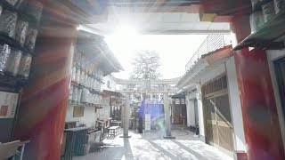 My Kyoto - Discover Kyoto's Hidden Secret with Four Seasons Hotel Kyoto