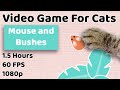 CAT GAMES - Mouse and Bushes - TV for Cats!