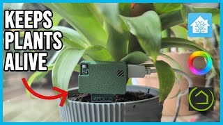 Keep Your Plants Alive With the PLT-1 Smart Plant Sensor