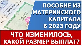 Ежемесячная выплата из материнского капитала в 2023 году. Размер пособия, обзор изменений