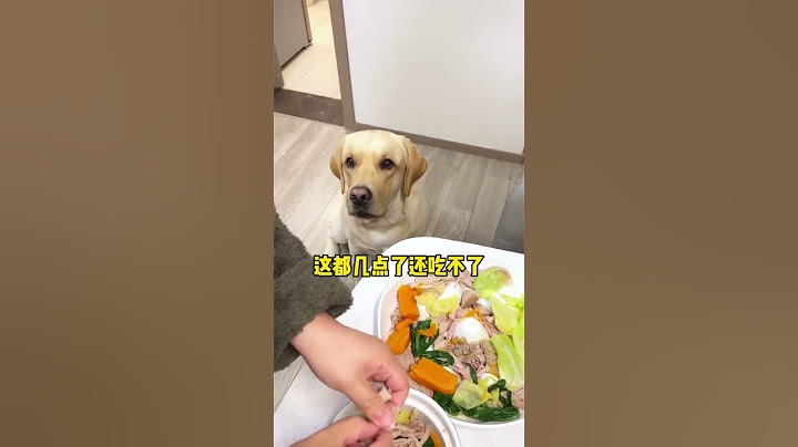 這狗子急的都快說人話了