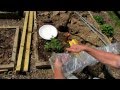 KNOL: How to Build a Hot-House Tomato Cage (In Pictures)