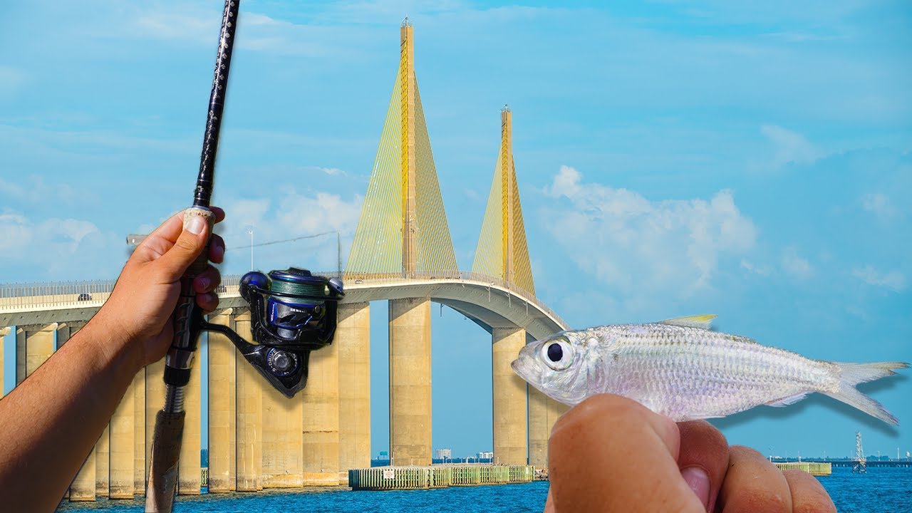 How To Find New Fishing Spots In Tampa Bay Florida!