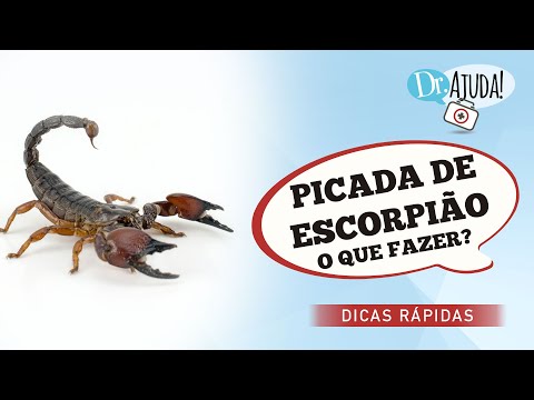 Vídeo: Os escorpiões devem ser mortos?