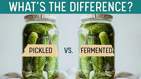 PICKLING vs FERMENTING - What's the Difference? Quick Grocery Store I.D. - DayDayNews