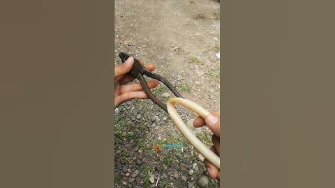 Make sure you remember this trick! How to easily make a spring grip on pliers? #lifehacks #diy