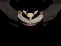 #explore #Female reproductive system #anatomy #animation #viralvideo