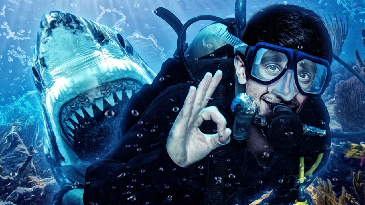 SHARKS vs DIVERS! DEPTH YouTube