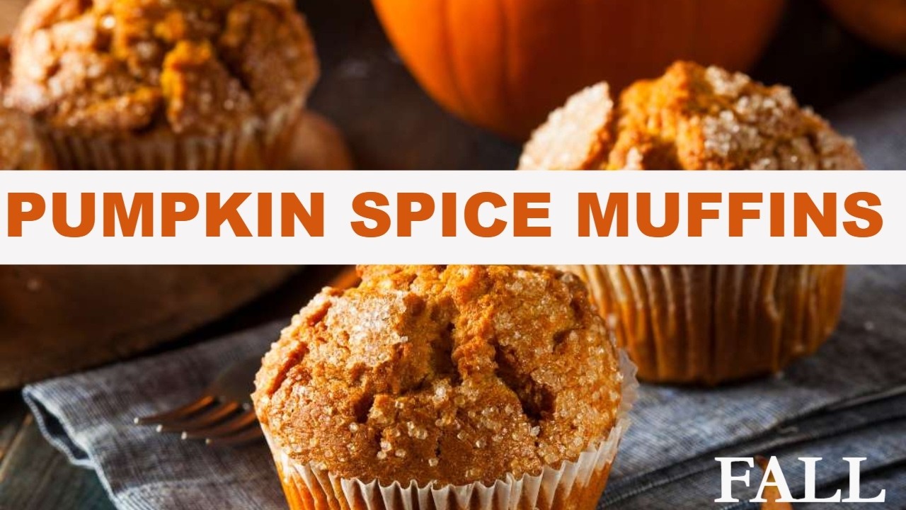 Pumpkin Spice Muffins| Muffin Recipe| Fall Muffins