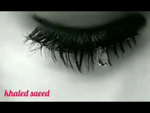 نسيت اصلك محمد عبد المنعم