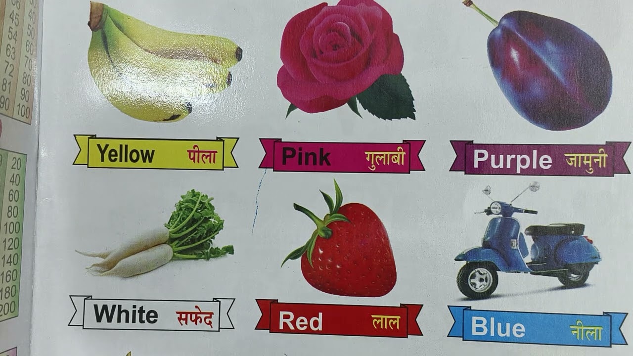12 Colours Name in Hindi And English with pictures .