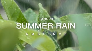 10 Hour  Soothing Summer Rain For Meditation  Sleep  Stress Relief  Calm Ambience