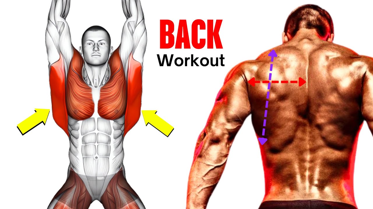 These are the Biggest Back Exercises You Need to Know - YouTube