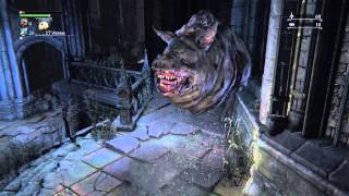 Bloodborne™ stealth pig