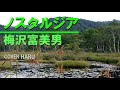 「ノスタルジア」梅沢富美男 cover HARU
