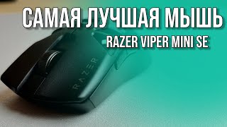 Лучшая в мире мышь. Обзор Razer Viper Mini Signature Edition.