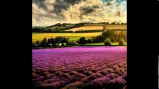 La provence