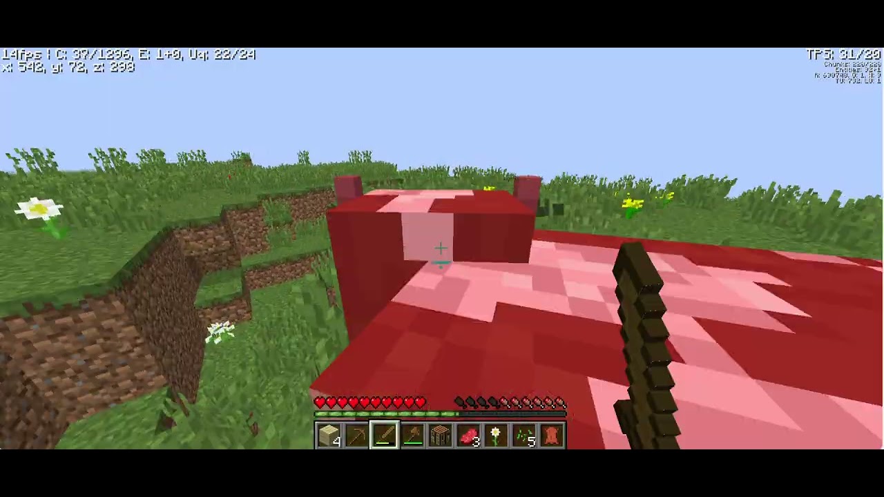 Playing JAVA edition Minecraft