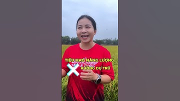 Mỡ Máu, tiểu đường tại sao do ăn nhiều cơm gây ra?| Dược Sĩ Hiếu #short #shorts #duocsihieu