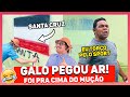 PINTAMOS O MURO DO GALO COM BANDEIRA DO TIME RIVAL | TROLLANDO GALO CEGO