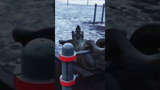 Болотников - Волки Мурчат