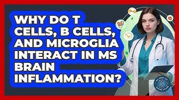 Why Do T Cells, B Cells, And Microglia Interact In MS Brain Inflammation?