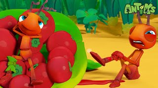 Break a Leg | Antiks Stories and Adventures for Kids | Moonbug Kids by Moonbug Kids - Stories and Adventures 38,351 views 4 weeks ago 1 hour, 53 minutes