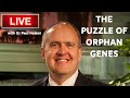 The Puzzle of Orphan Genes - Live with Dr Paul Nelson