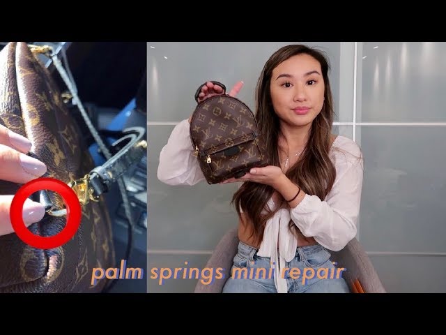 Palm Springs Mini Backpack issues