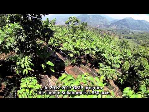 Pertamina Foundation -