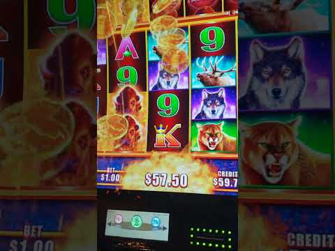 Giocare al Casinò Online in Italia: Scopri CasinoBuffalo per un'Esperienza di Gioco di Prima Classe