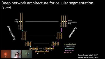Using Deep Learning for Cellular Segmentation by Carsen Stringer
