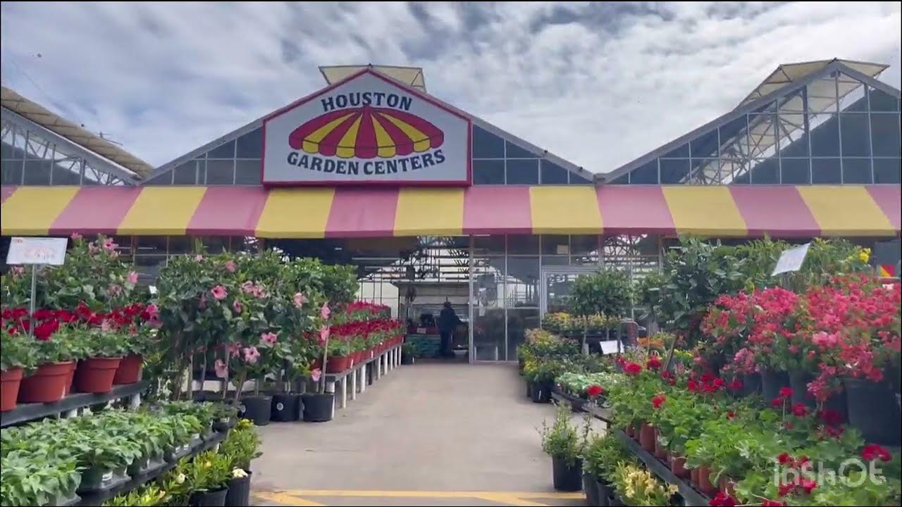 beautiful-flowers-and-plants-in-houston-garden-center