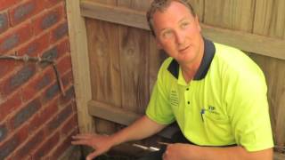 pest control - Montrose V.I.P. Pest Control