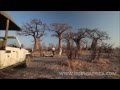 Savuti Safari Lodge Botswana