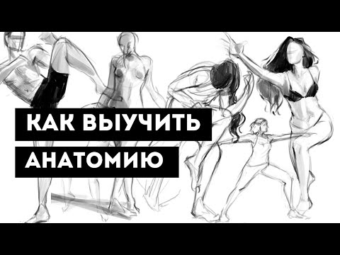 Как нарисовать любую позу 🌸 Как выучить анатомию? 💕