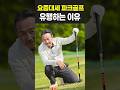 파크골프 갑자기 유행하는 이유 파크골프 갑자기 유행하는 이유