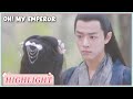 Highlight | It&#39;s all your fault. | Oh! My Emperor S1 | 哦！我的皇帝陛下第一季 | ENG SUB