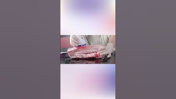 Cavitation Machine Test With Pork Belly| Body Contouring #bodyshaping