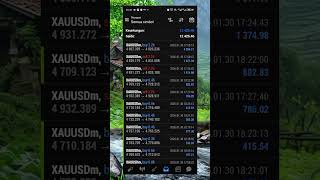 Robot trade#Robottrade, #short, #feedshort #trading, #forek,#edukasitrading, #robottrading, #mt4,