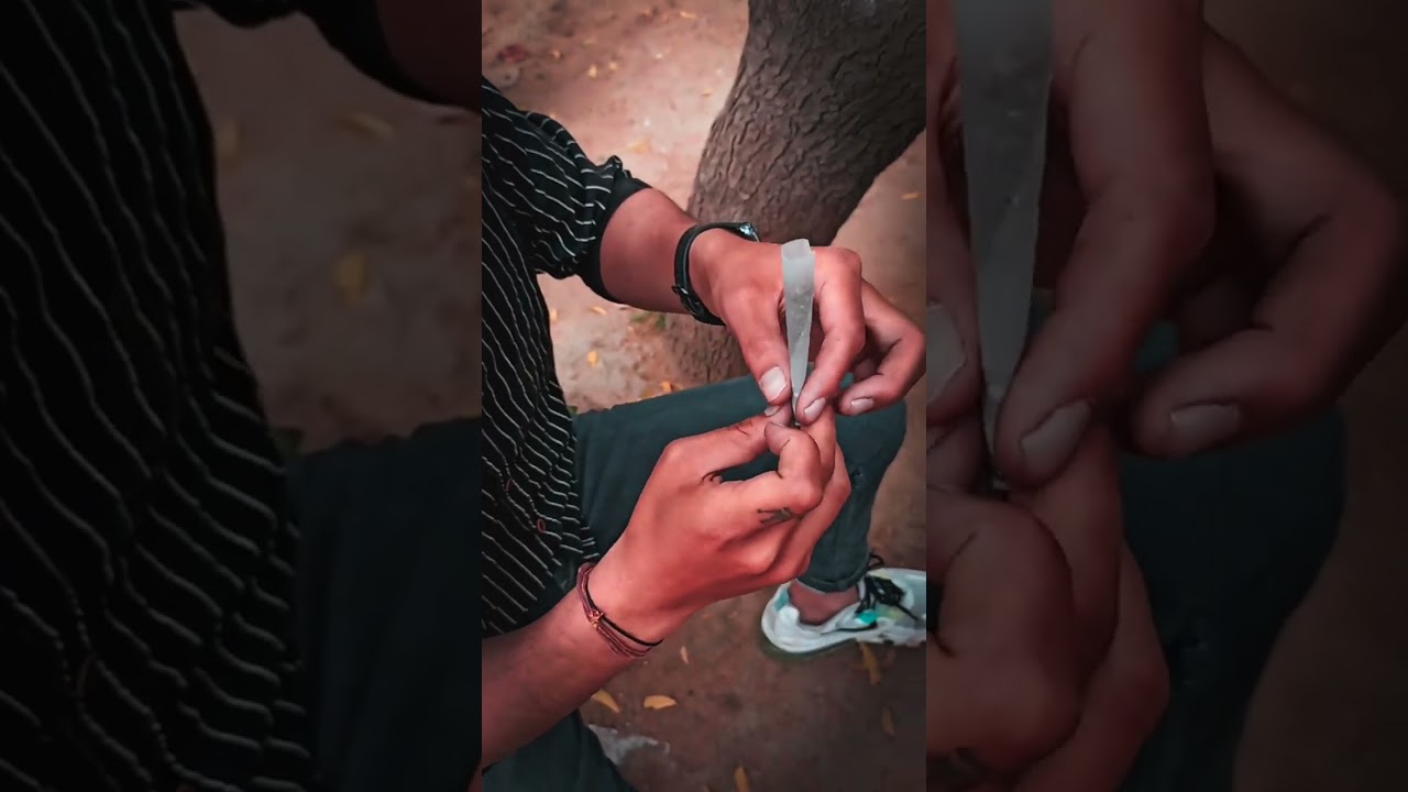 "The High Life: Exploring the World of Weed and Celebrating its Culture."         